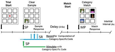 Developing a hippocampal neural prosthetic to facilitate human memory encoding and recall of stimulus features and categories